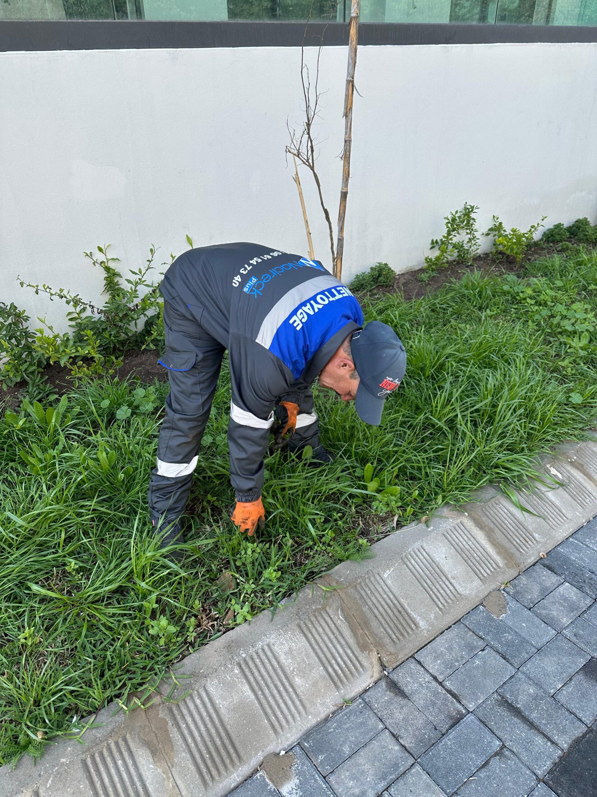 Jardinage